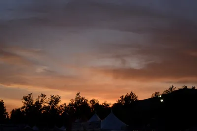 DSC_2365 (Large).JPG